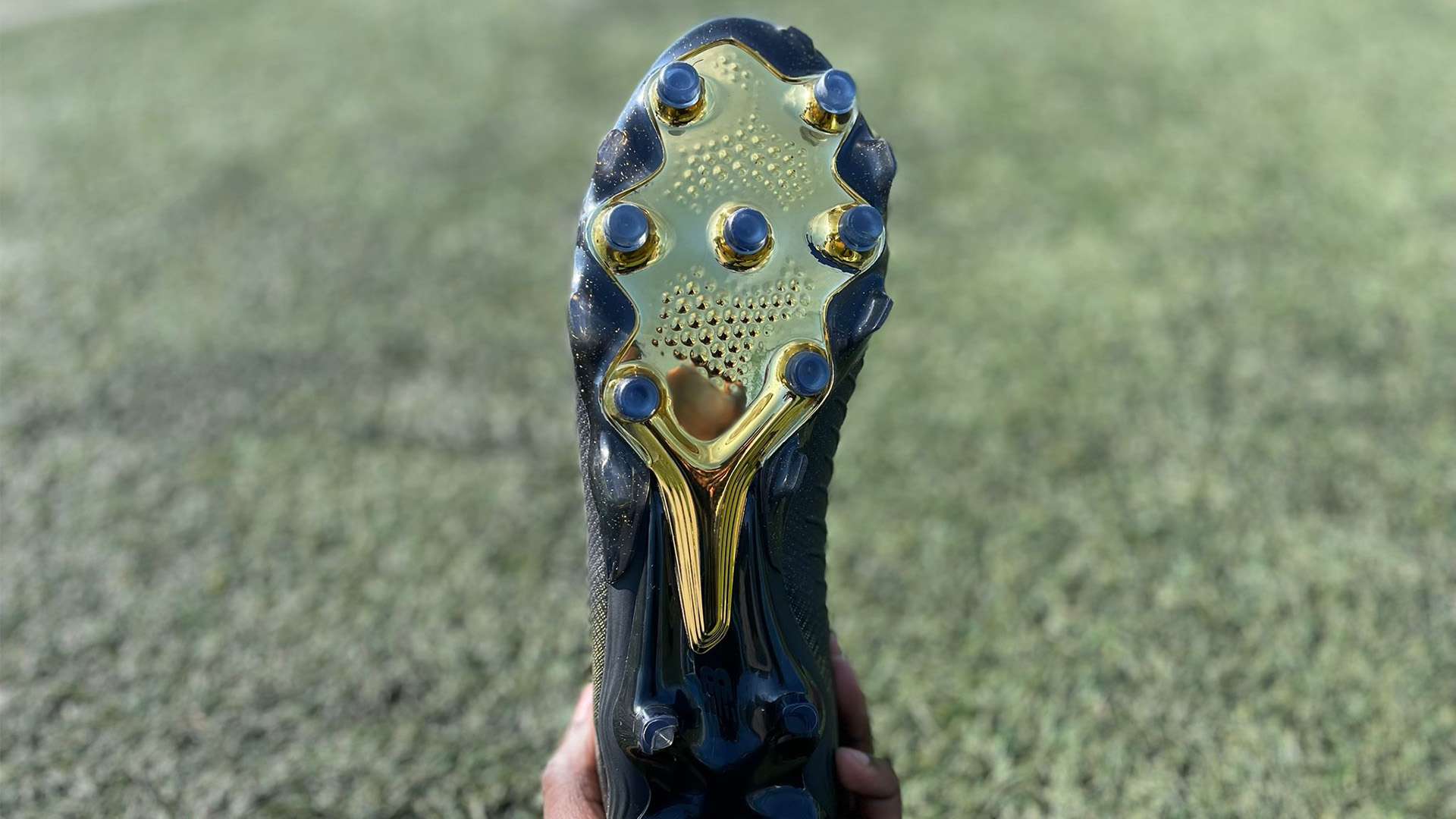 但他们凭借 但他们凭借